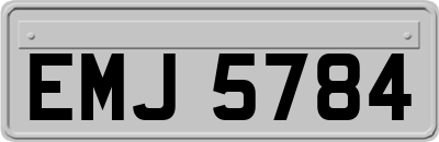 EMJ5784