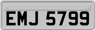EMJ5799