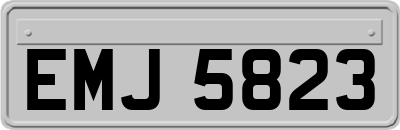 EMJ5823
