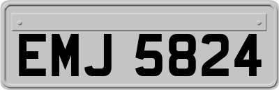 EMJ5824