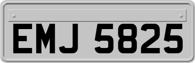 EMJ5825