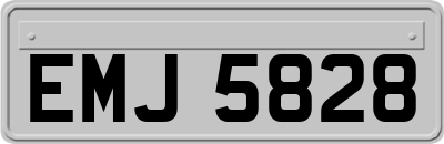 EMJ5828