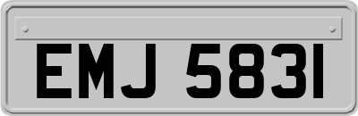 EMJ5831