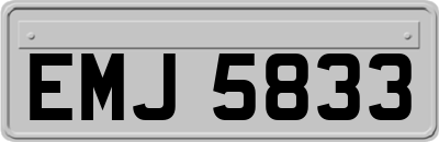 EMJ5833