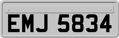 EMJ5834