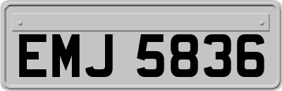 EMJ5836
