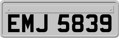 EMJ5839