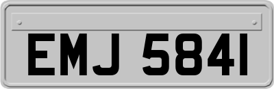 EMJ5841