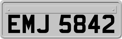 EMJ5842