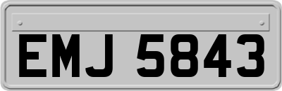 EMJ5843