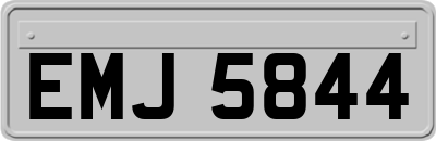 EMJ5844