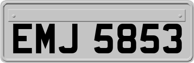 EMJ5853