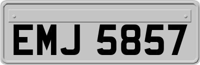 EMJ5857