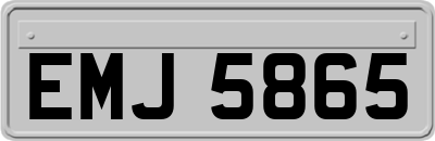 EMJ5865
