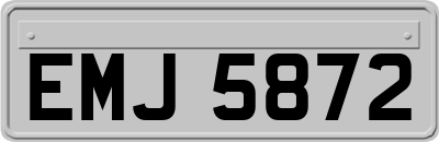 EMJ5872