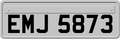 EMJ5873