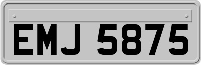 EMJ5875