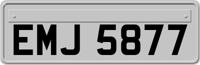 EMJ5877