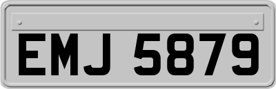 EMJ5879