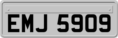 EMJ5909