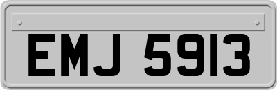 EMJ5913
