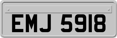 EMJ5918
