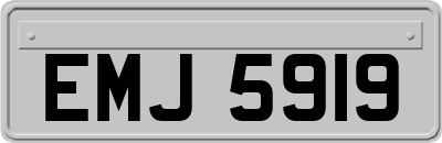 EMJ5919