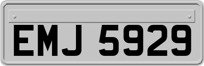 EMJ5929
