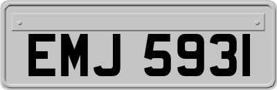 EMJ5931