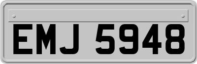 EMJ5948