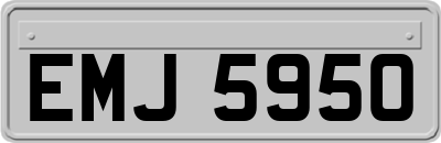 EMJ5950