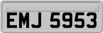 EMJ5953