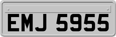 EMJ5955
