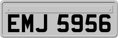 EMJ5956