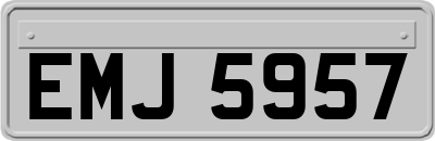 EMJ5957