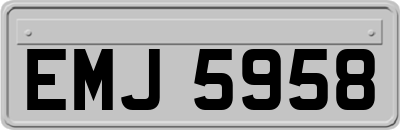 EMJ5958
