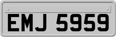 EMJ5959