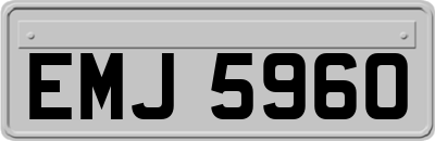 EMJ5960