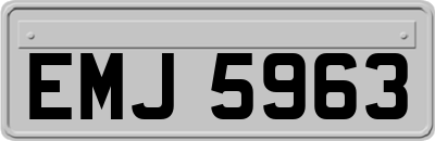 EMJ5963