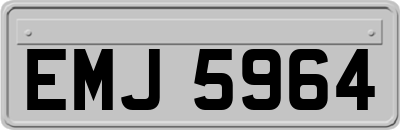 EMJ5964