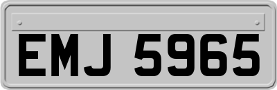 EMJ5965