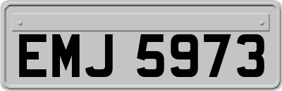 EMJ5973