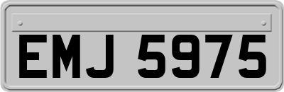 EMJ5975