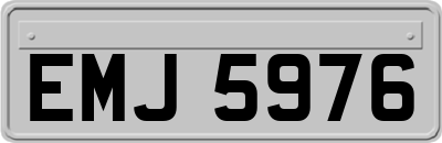 EMJ5976