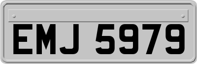 EMJ5979