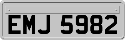 EMJ5982