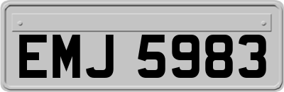 EMJ5983