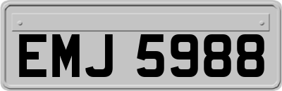 EMJ5988