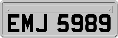 EMJ5989