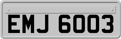 EMJ6003